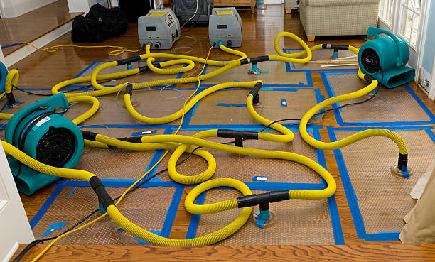 Professional Structural Drying And Dehumidification technician working in Byrdstown, TN